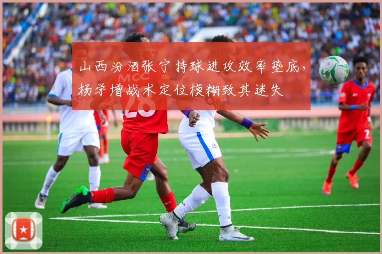 山西汾酒张宁持球进攻效率垫底,杨学增战术定位模糊致其迷失